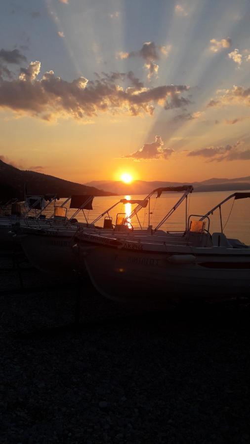 Vasiliki See View Apartments บาร์บาตี ภายนอก รูปภาพ